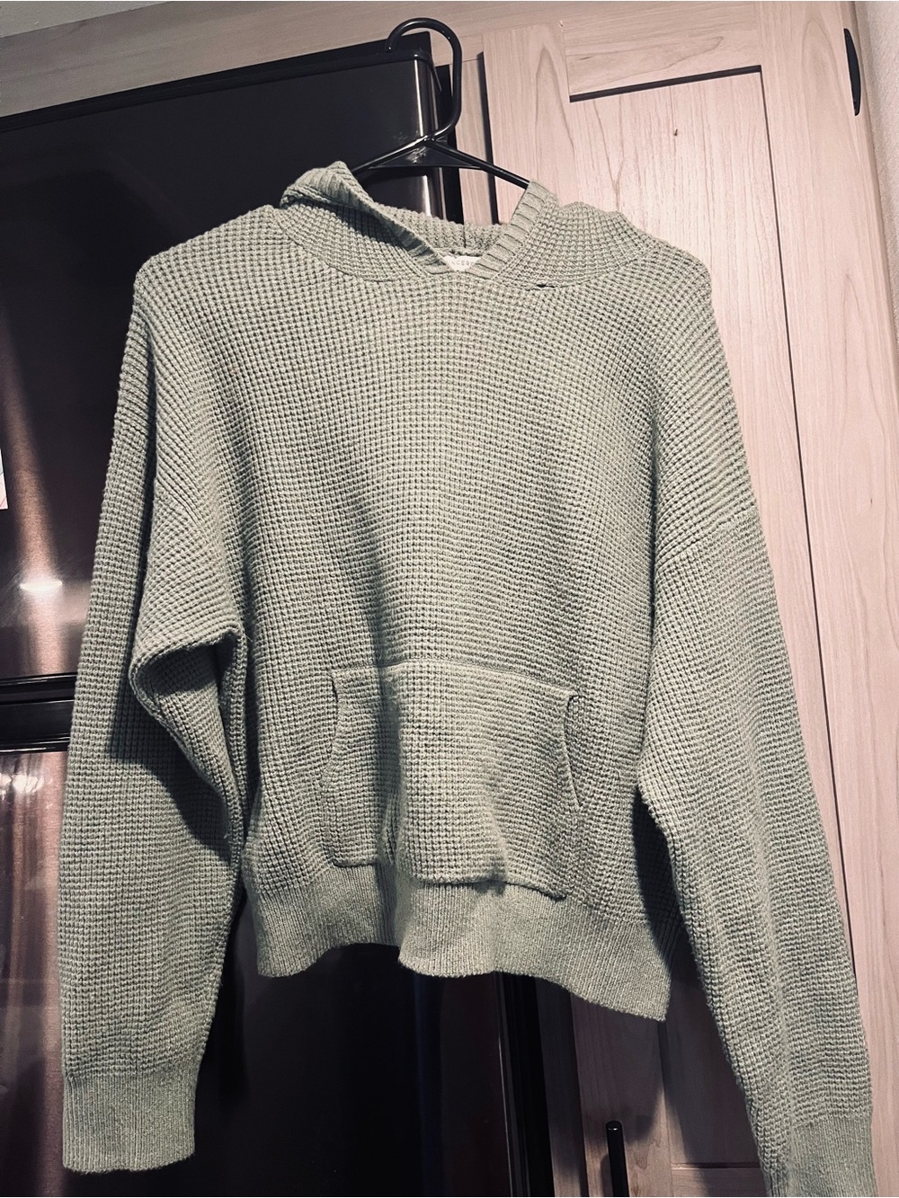 Soft Knit Hooded Sweater in Sage Green